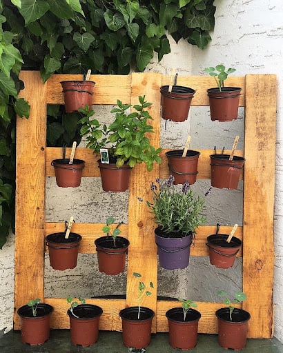 DIY Vertical Vegetable Garden From Shipping Pallets